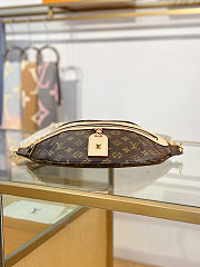 Louis Vuitton High Rise PM brown bag size 31x15x6cm - 6