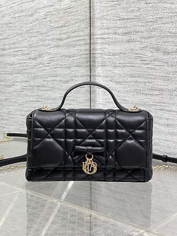 Dior My Tender Top Handle Mini Bag 21x11.5x7cm - 03