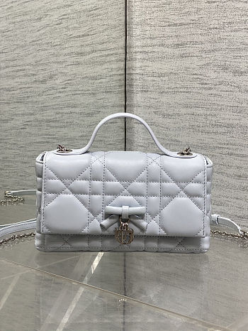 Dior My Tender Top Handle Mini Bag 21x11.5x7cm - 04