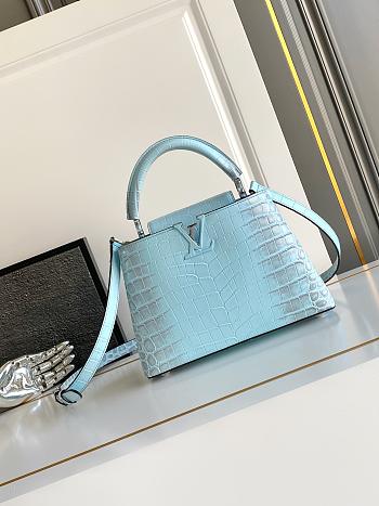 Louis Vuitton Capucines blue bag 31.5 x 20 x 11cm 