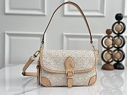 Louis Vuitton Diane PM bag size 24x15x9cm - 1