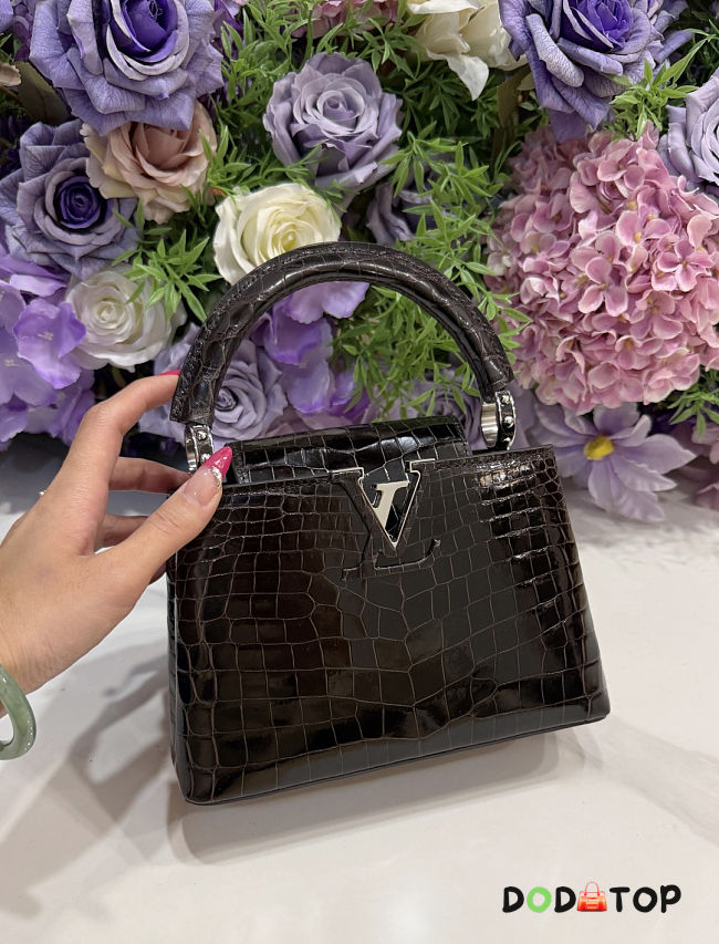 Louis Vuitton Capucines black bag size 27x18x0cm -01 - 1