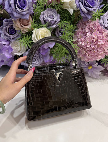 Louis Vuitton Capucines black bag size 27x18x0cm -01