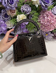 Louis Vuitton Capucines black bag size 27x18x0cm -01 - 4