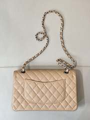 Chanel flap bag beige size 25cm - 6