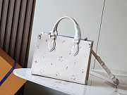 Louis Vuitton OnTheGo PM Link Quartz bag size 25x19x11.5cm - 1
