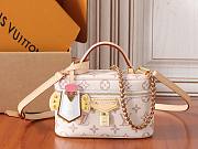 Louis Vuitton Vanity Chain Pouch bag size 19 x 11.5 x 6.5cm - 1
