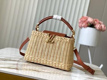 Louis Vuitton Rattan Calfskin Capucines bag size 27x18x9cm