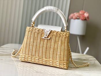 Louis Vuitton Rattan Calfskin Capucines bag size 27x18x9cm -01