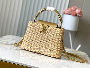 Louis Vuitton Rattan Calfskin Capucines bag size 27x18x9cm -02