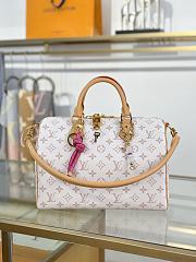 Louis Vuitton Speedy Soft 30 bag M15108 size 30 x 21 x 17 cm  - 1
