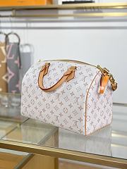 Louis Vuitton Speedy Soft 30 bag M15108 size 30 x 21 x 17 cm  - 5