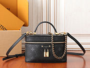 Louis Vuitton M3A372 Vanity Chain Pouch size 19 x 11.5 x 6.5cm - 1