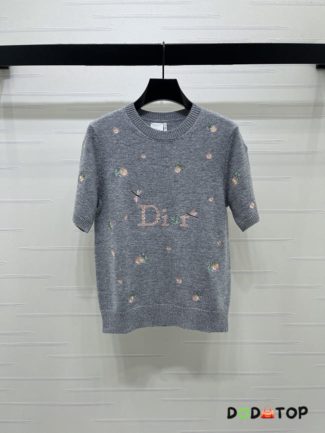 Dior Short-sleeved sweater gray - 1