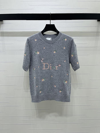 Dior Short-sleeved sweater gray