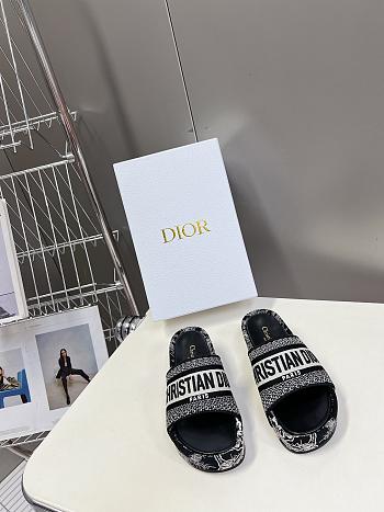 Dior slides -A1