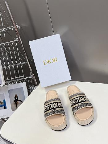 Dior slides -A3